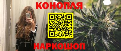 прущие грибы Можайск