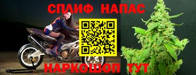 прущие грибы Можайск