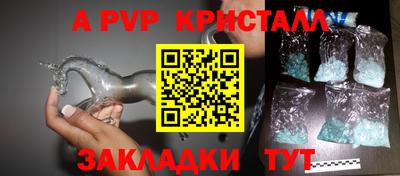 прущие грибы Можайск