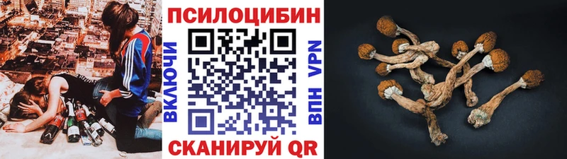 Галлюциногенные грибы Psilocybine cubensis  Арзамас 