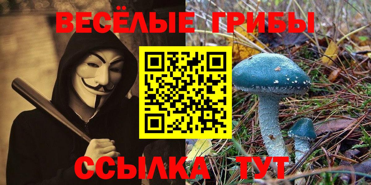 Псилоцибиновые грибы Magic Shrooms Арзамас